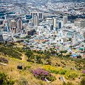 ZAF WC CapeTown 2016NOV13 SignalHill 026 : Africa, Cape Town, South Africa, Southern, Western Cape, 2016 - African Adventures, 2016, November, Signal Hill